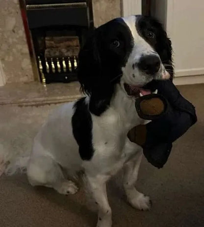 2026 New Unbreakable Bear for strong chewers